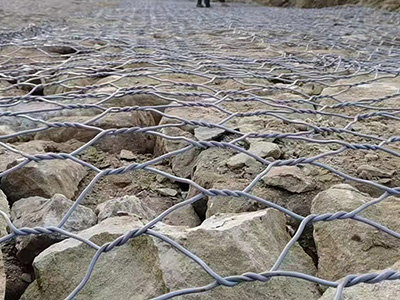 高尔凡雷诺护垫图片3